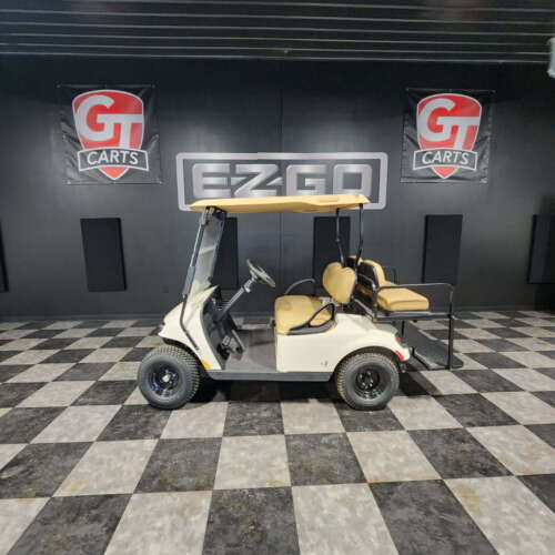 2020 E-Z-GO Freedom TXT