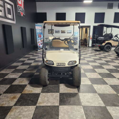 2020 E-Z-GO Freedom TXT